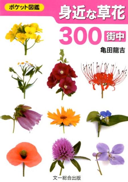 身近な草花300〈街中〉 （ポケット図鑑） [ 亀田龍吉 ]