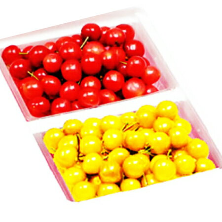 【送料無料】【限定200箱】山形県天童市産 月山錦 佐藤錦 食べ比べ約600g さくらんぼ 秀品 Lサイズ 2Lサイズ サクランボ チェリー