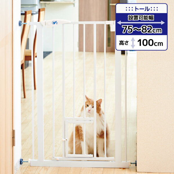 脱走してしまった猫の探し方  猫にゃんネットワーク府中