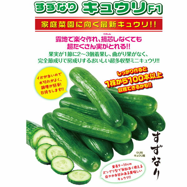 初心者家庭菜園その10 きゅうり苗うどんこつよし急成長 Emiのぽこぽこグリーン