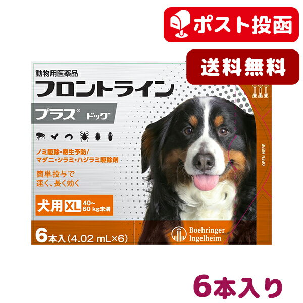 フロントラインつけたよ 動画あり 柴犬こてつとかんたの日常