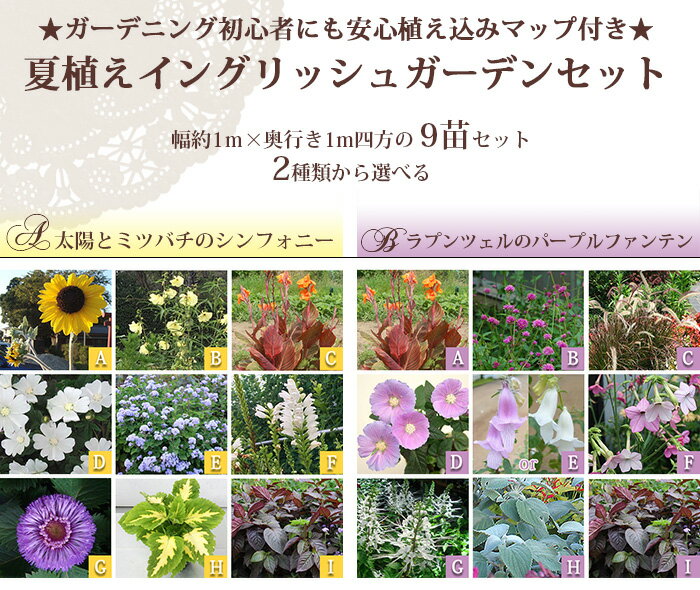 統一感のある寄せ植え花壇を作るには トロピカルロード El S Garden 犬天使の棲む庭 統一感のある寄せ植え花壇を作るには トロピカルロード El S Garden 犬天使の棲む庭