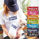 バナーペアTシャツ バンダナ XXL-3XLサイズ 犬 飼い主 ペアルック 送料無料 ペットとお揃い ペット 愛犬とお揃い 犬と名入れ 名前入り 名入り 名前入...