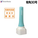 シヤチハタ 特角30号 別製品A シャチハタ Xstamper Xスタンパーshachihata スタンプ XS-30 印鑑 シャチハタ はんこ【3043000...