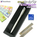シヤチハタ ネームペン お買い得セット キャップレスエクセレント シャチハタ 多機能ペン プレゼント 御祝 印鑑 はんこ
