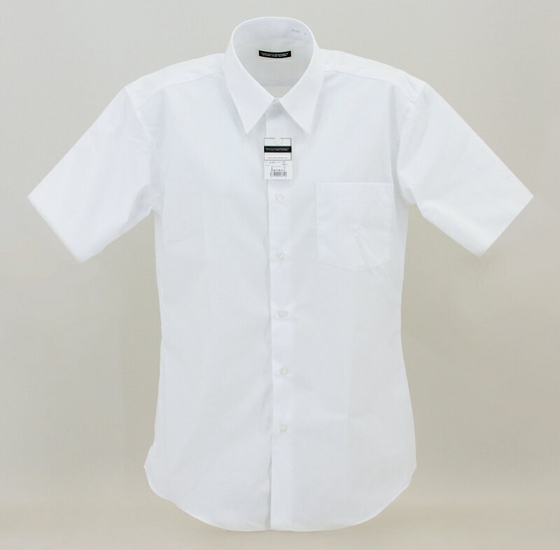 �ڥۥ磻�ȡۥ쥮��顼�����Ⱦµ������ࡦ�̾��77cm�ȷ������ݲù������ְ���ù���[�˻ҥ������륷���]���̳��ѳ�������ġ���2�������̵����