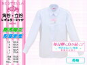 【角衿/長袖】女子スクールブラウス(防汚加工/形態安定加工/ノーマルシルエット)真っ白に近い青白ホワイト色 女子高生・中学生に ★2枚で送料無料★
