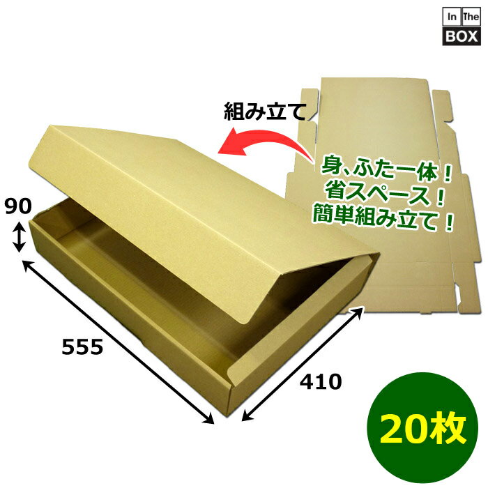 衣類用段ボール箱 一着箱B（大） 555×410×90mm 「20枚」