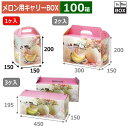 メロン用キャリーBOX ドリームメロン 1ヶ入 150×150×200(mm) 6玉8kgクラス1個「100箱」(3)
