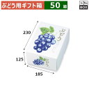 ぶどう用ギフト箱 もぎたてのぶどう 小 230×185×125(mm) 小/大粒ぶどう1房「50箱」