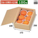 フルーツ用サービス箱 サービス無地 172×250×100(mm) 「100箱」