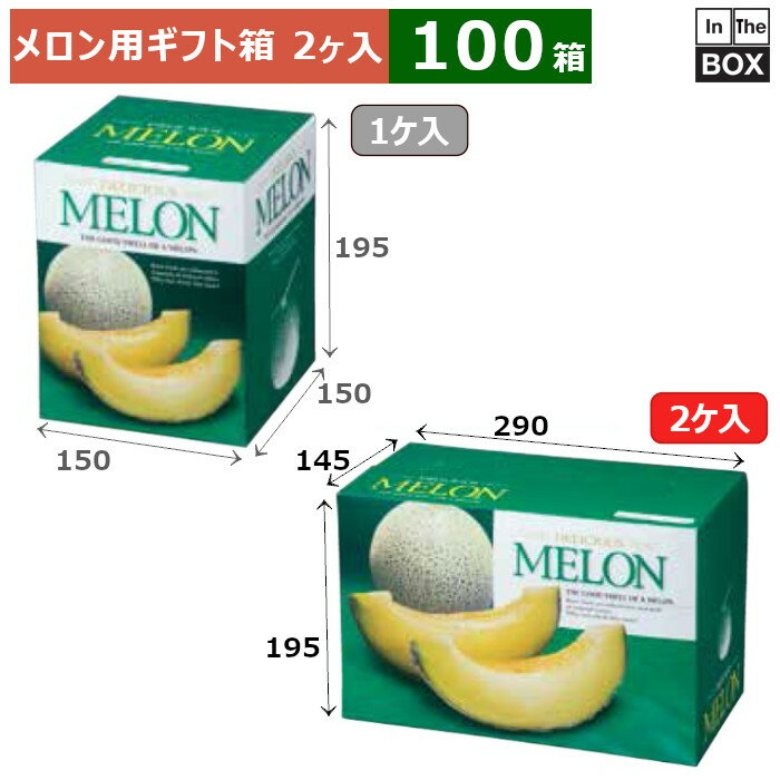 メロン用ギフト箱 デリシャスメロン 2ヶ入り 290×145×195(mm) 6玉サイズ、8kgクラス2個「100箱」