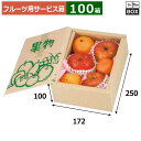 フルーツ用サービス箱 サービス果物 172×250×100(mm) りんご36玉5~6個「100箱」