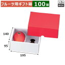 フルーツ用ギフト箱 ロイヤルハーフレッドBOX 140×195×95(mm) マンゴー2L2個「100箱」