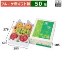 フルーツ用ギフト箱 果実四季旬彩 小グリーン 205×278×105(身箱深さ60)(mm) りんご32玉6個「50箱」