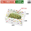 フルーツ用ギフト箱 みどりのめぐ実 2P(ホワイト) 215×145×110(mm) 「100箱」