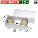 フルーツ用ギフト箱 ホワイト ロイヤル 3ヶ用 170 495×225×170(mm) メロン5玉9kgクラス3個、小玉スイカ「30箱」
