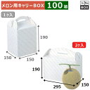 メロン用キャリーBOX 金線メロン 2ヶ入り 295×150×190(mm) 6玉8kgクラス2個「100箱」