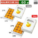 みかん用ギフト箱 温室みかん 2kg 270×195×90(mm) みかんLサイズ24個「60箱」
