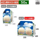 メロン用キャリーBOX ピュアメロン 2ヶ入台紙付 325×160×195(mm) 5玉9kgクラス2個「50箱」
