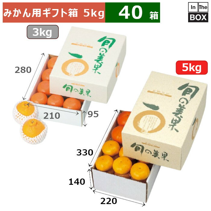 小粒ミカン箱込み5キロ✖️3箱 無地段ボール）A式みかん白無地3kg/80枚入（L-2231） : 箱の店