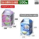 フルーツ用キャリーBOX ブリリアントメロン 1ヶ入 150×150×200(mm) 6玉,8kgクラス1個「100箱」(3)