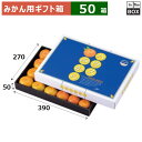 みかん用ギフト箱 ハウスみかん 大 270×390×50(mm) みかんLサイズ24個「50箱」