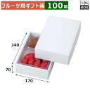 フルーツ用ギフト箱 パール21 170×240×70(mm) イチゴ300gトレー×2パック 「100箱」