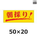 販促シール「朝採り!」50×20mm 「1冊1000枚」