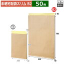 紙袋 未晒宅配袋(B-2)(折線入り台紙セット) 530×40×750+60(mm) 「50枚」