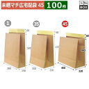 紙袋 未晒宅配袋(ビッグ-45) 450×220×440+60(mm) 「100枚」