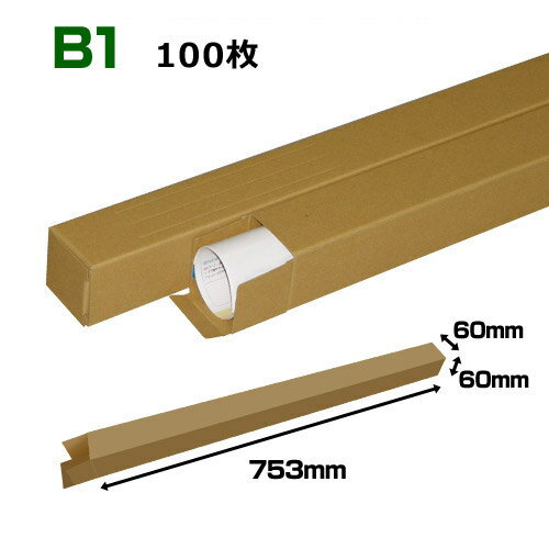 B1(1030~728mm)Ή Ntg|X^[P[Xu100E300E1000v 60~60~F753(mm)