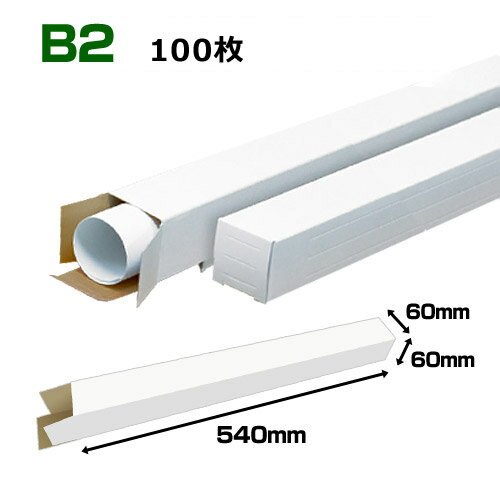 B2(728515mm)б ݥ100硦300硦1000 6060Ĺ540(mm)