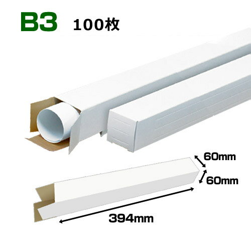 B3(515~364mm)Ή |X^[P[Xu100E300E1000v 60~60~F394(mm)