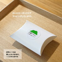 水引リボンお花ピアスセットプチギフトプレゼントお祝い金メッキGP(ゴールドプレート)ラッピング無料