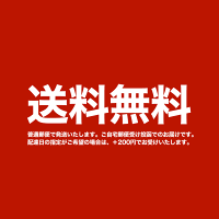 鳥獣戯画名入れ刻印本革レザー栞しおりブックマーカーラッピング無料誕生日敬老の日記念品うさぎかえる猫送料無料名前入り鹿革紐エゾシカ読書の秋プレゼントギフト鳥獣戯画グッズ