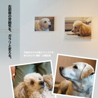 キャンバスプリント特大サイズ家族ペット犬猫カメラスマホ写真絵画のようなインテリアおしゃれ記念品