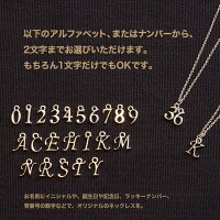 イニシャルナンバーネックレスシルバーカラーアルファベット2文字数字背番号2桁選択可能ペンダントプチギフトギフト誕生日プレゼント