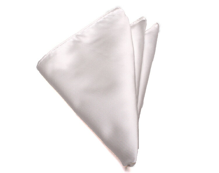 Franco Spada�ʥե�󥳥��ѥ��˥ݥ��åȥ����ա���������Ź��FS26S-CH1-10���ۥ磻�ȥ���å�