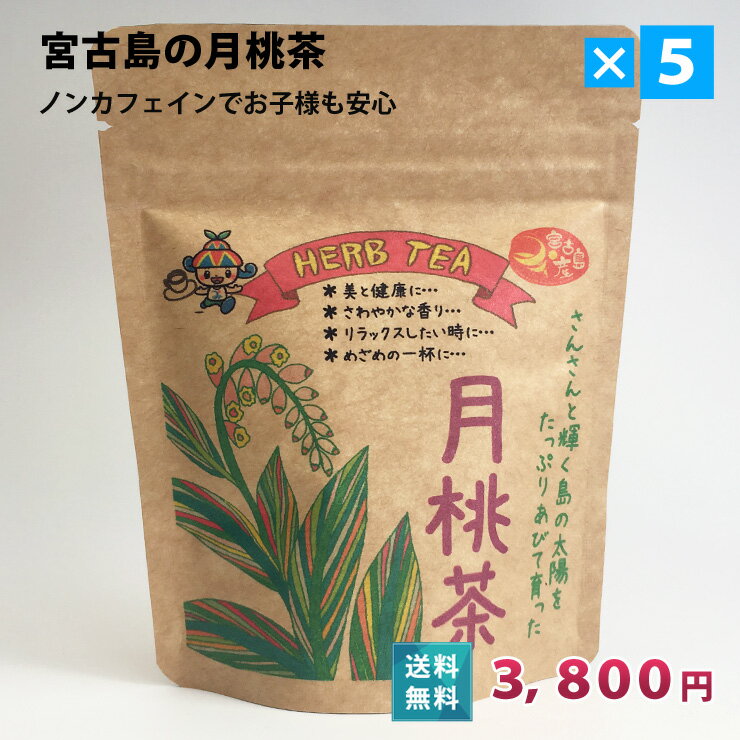 月桃茶（16g）ティーバック入×5個セット【送料込】沖縄 宮古島のハーブティー お土産 プチギフト 贈り物｜母の日 プレゼント ギフト