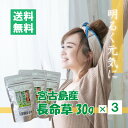 オーガニック♪長命草（粉末）【30g×3パックセット】【宮古島長命草100%】【送料無料】｜国産 沖縄宮古島のハーブティー プチギフト 贈り物 プレゼント ギフト 敬老の日