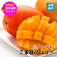 https://thumbnail.image.rakuten.co.jp/@0_gold/385store/imges/mango/20230512_k1kg.jpg