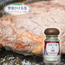 雪塩かける塩【ステーキ塩】【小瓶】お肉のつけ塩に【料理の時短に万能調味料】☆他商品との同梱で送料がお得☆【まとめ買いに♪】沖縄 宮古島 パラダイスプラン