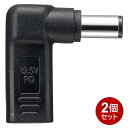 ＼楽天カードポイント5倍！4/25／ヤザワ USB PD対応 充電コネクタ 2個セット DELL用 ノートパソコン用 USB充電 変換コネクタ Type C PDDL01-2P メール便送料無料