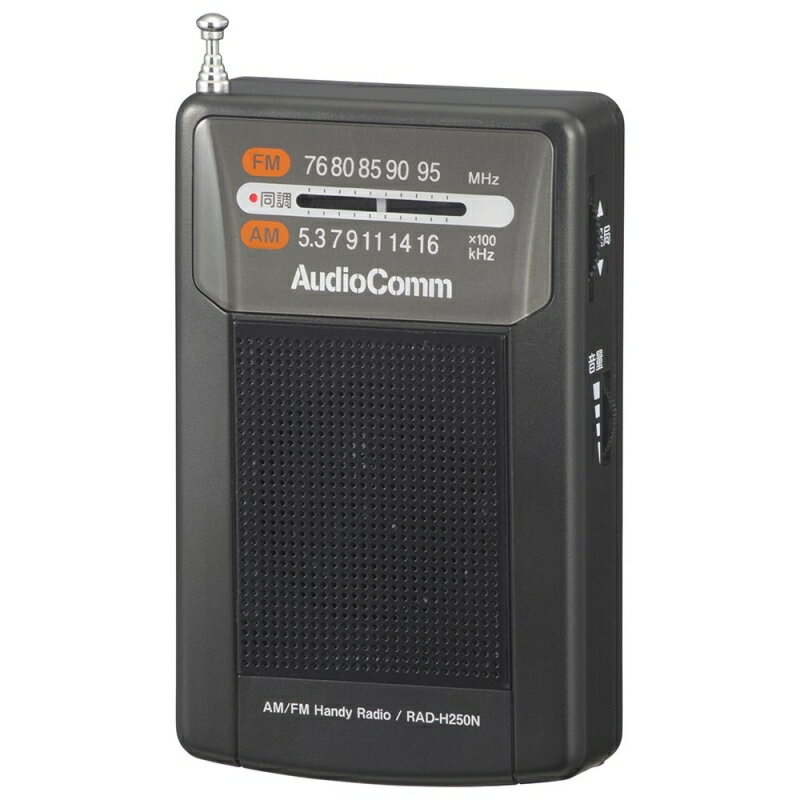 ķϥǥ饸 AM FM OHM 03-1271 RAD-H250N ̵