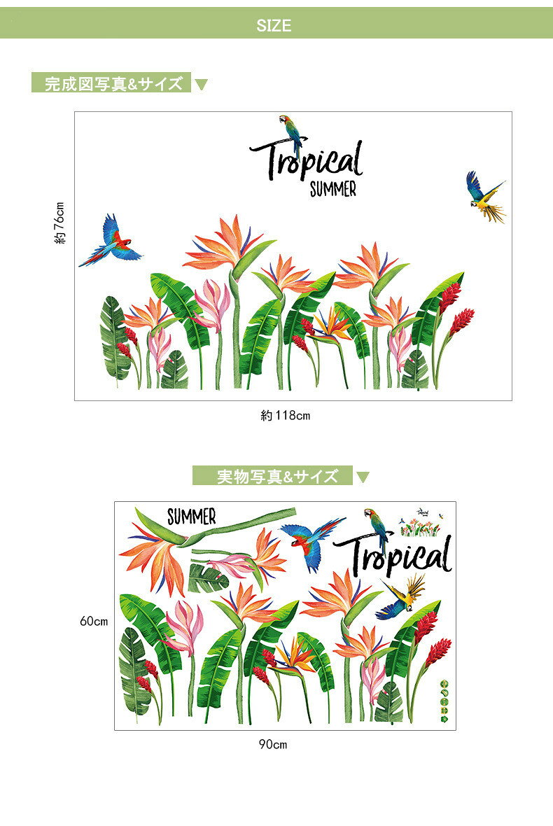 ウォールステッカー 植物 鳥 窓 貼ってはがせる 壁紙 シール 賃貸OK グリーン 花 木 インコ オウム 華やか ハワイアン 南国 リゾート アジアン 剥がせる DIY 模様替え リビング トイレ キッチン ガラス 送料無料 3Qee 3qee-10001759 3Qee本革バッグ&アート サンプル画像2