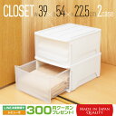 【max15%OFFクーポン配布中!】 送料無料 収納ボックス 2個セット Globe ( グローブ ) クローゼット 23 ホワイト BGBC-23WH 奥行...