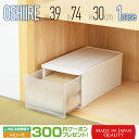 【max15%OFFクーポン配布中!】 収納ボックス Globe ( グローブ ) 押入れ 30 ホワイト BGBO-30WH 奥行74 幅39 完成品 日本製...