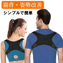 姿勢 矯正 ベルト 猫背 改善 グッズ 簡単 シンプル 通気 送料無料
