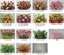 プランター/LL 装飾 フラワー 花 演出 パチンコ備品 送料無料